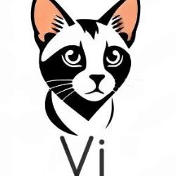Vi