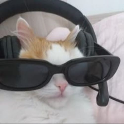 Я НЕ КРИНЖ!(⁠✯⁠ᴗ⁠✯⁠)◉⁠‿⁠◉