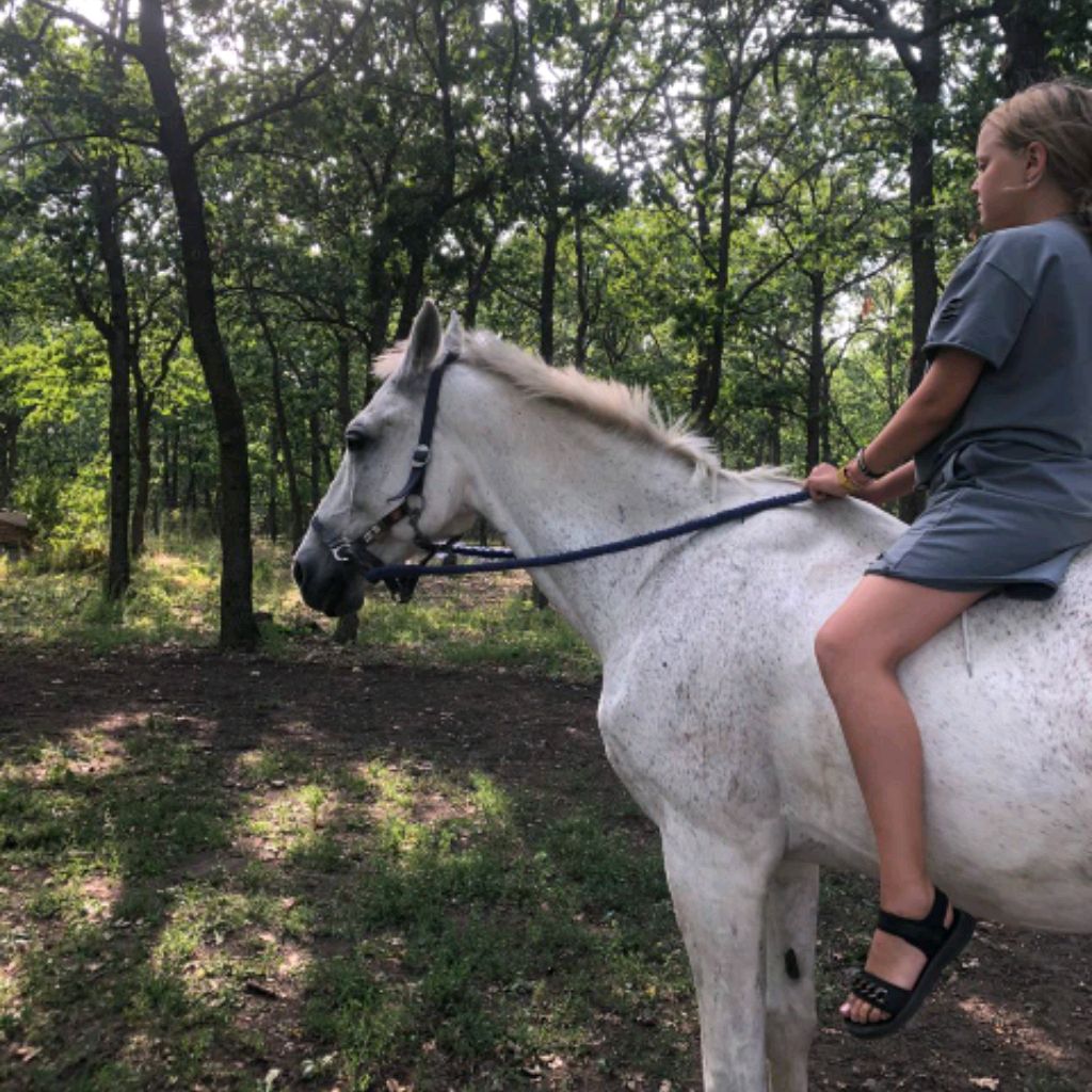 ☀КсюняХорс🏇🐴