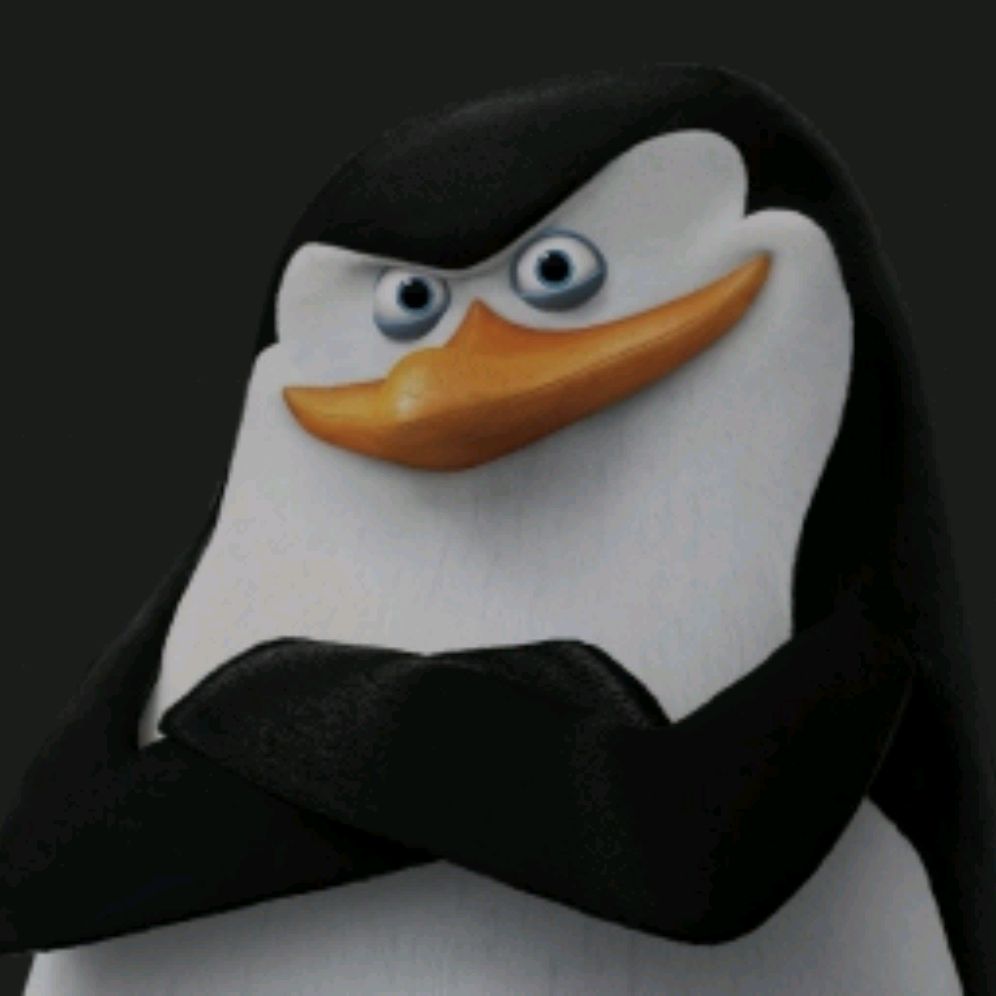 Skipper