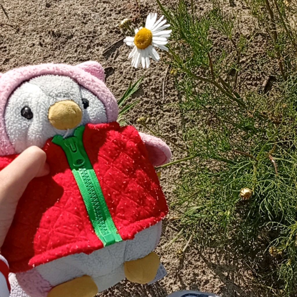 Ника ❤️