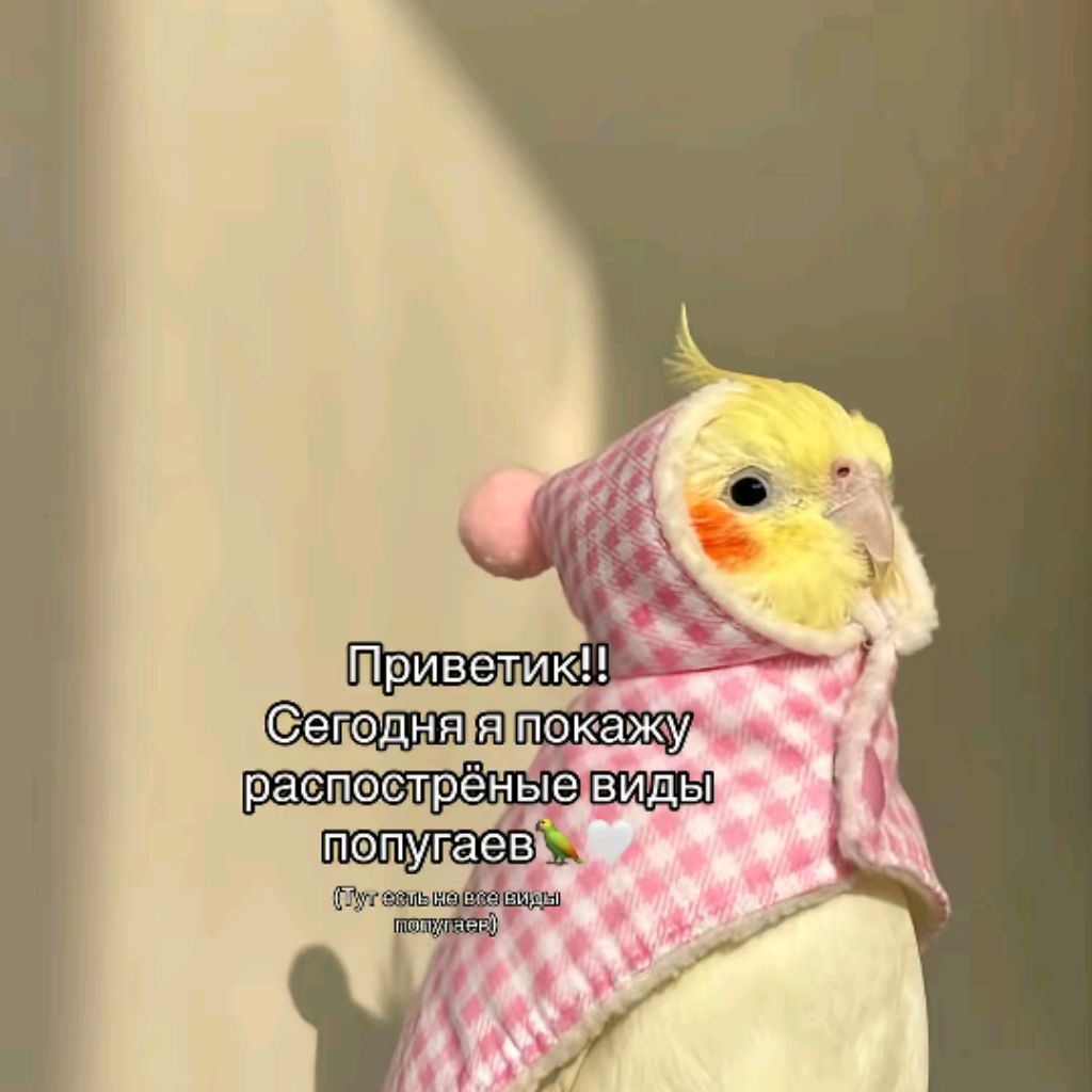 Многоножка Дино🌿🔥