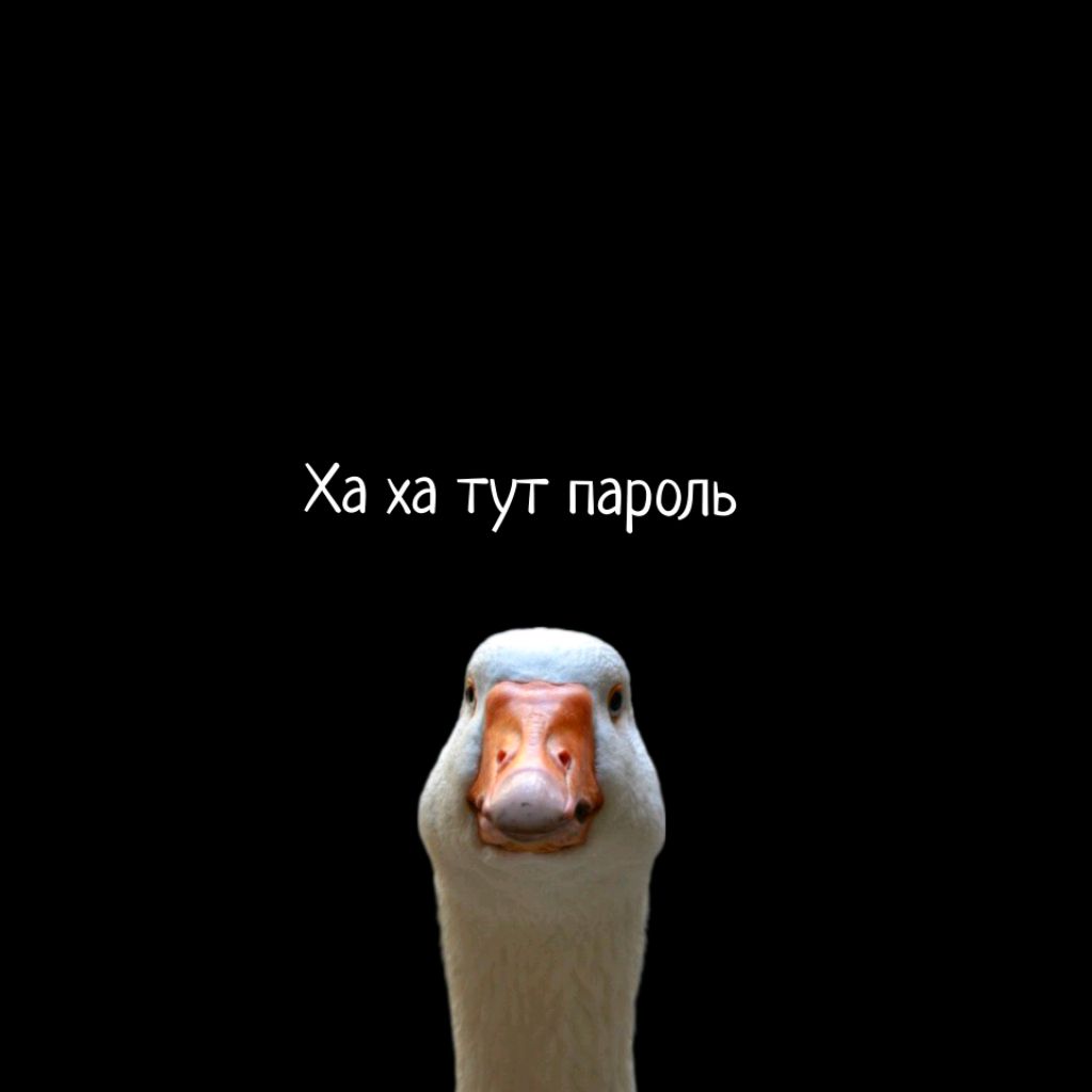 👍👍👍