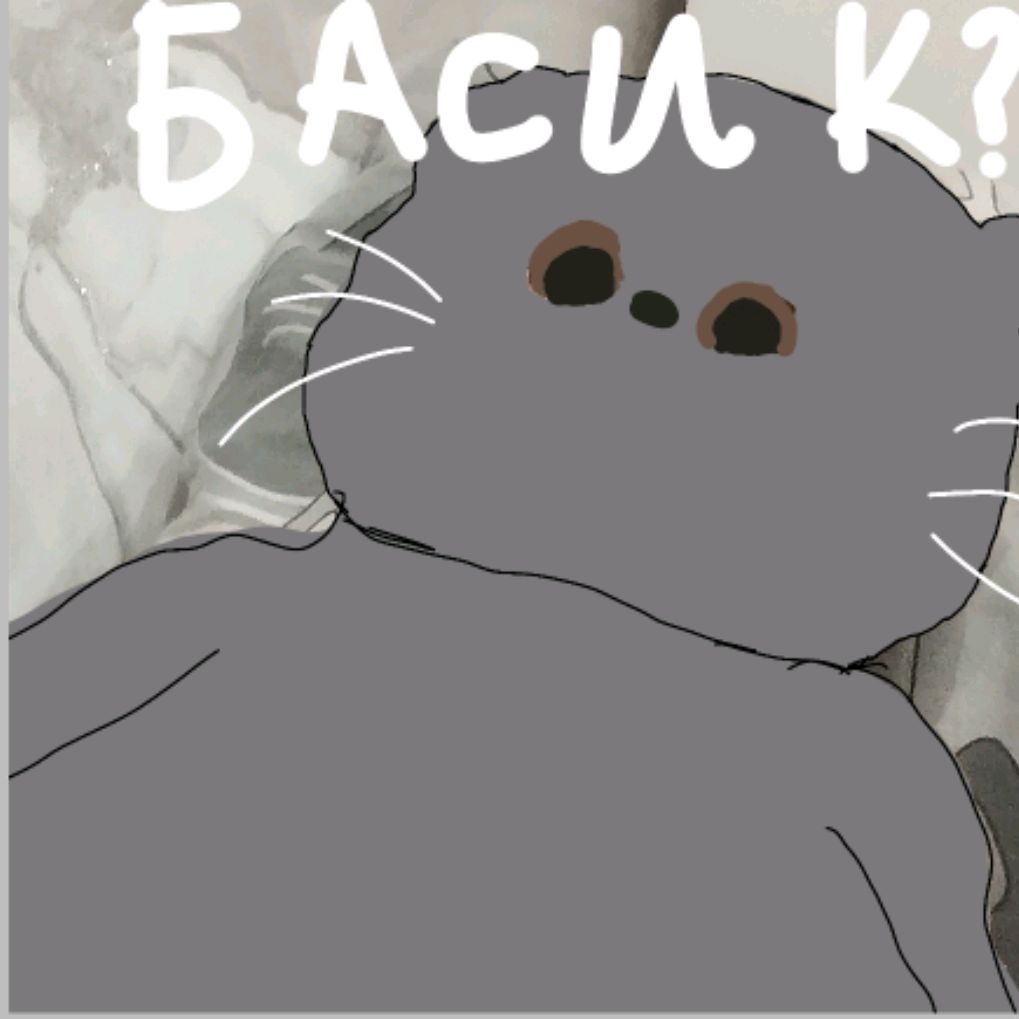 Басикот