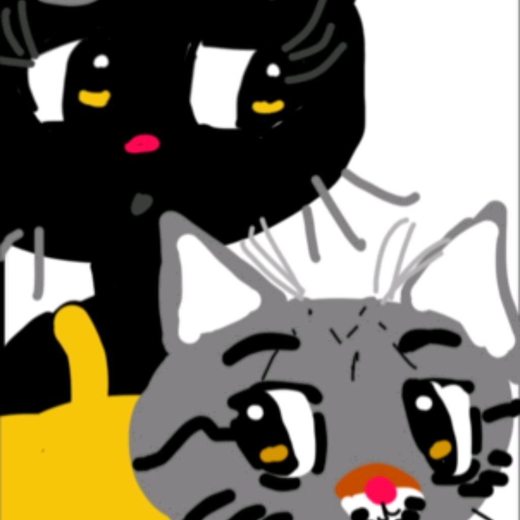 Cat Vlog