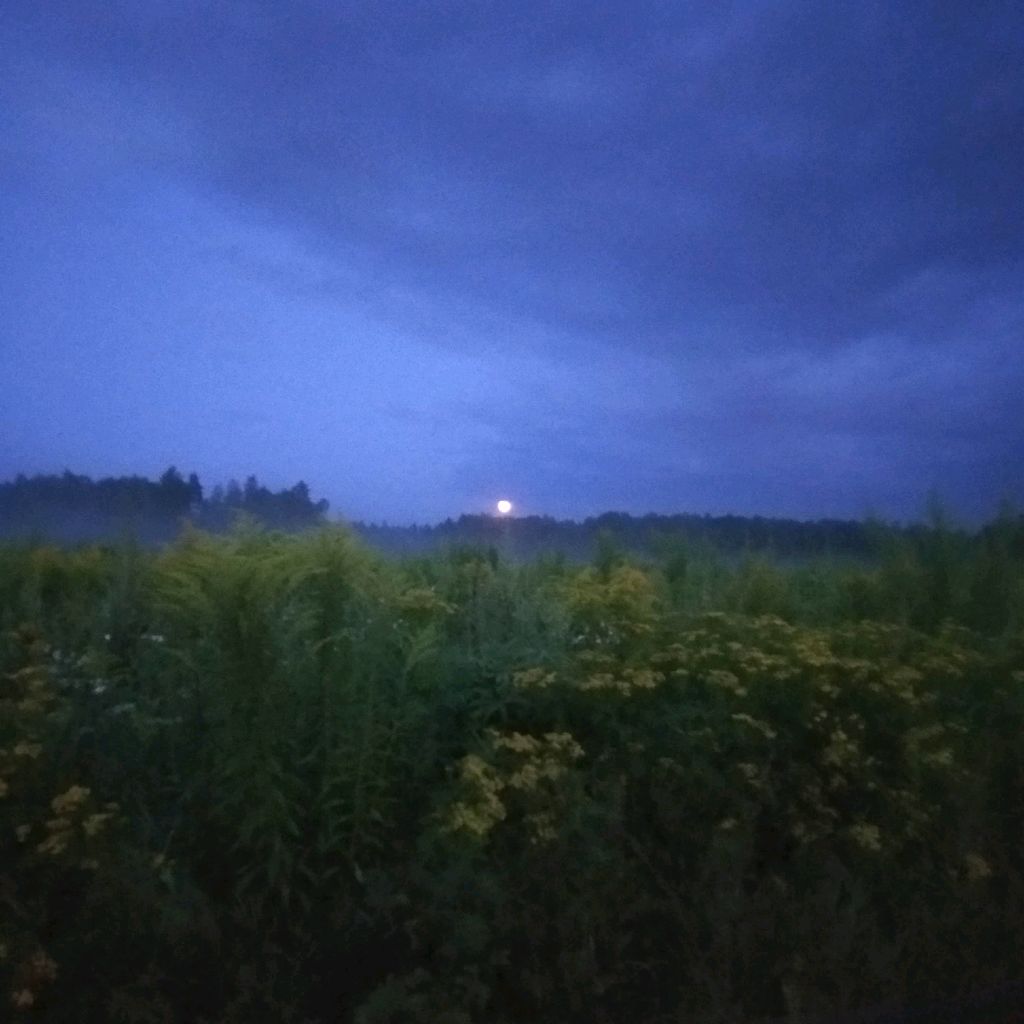 Лëвчик