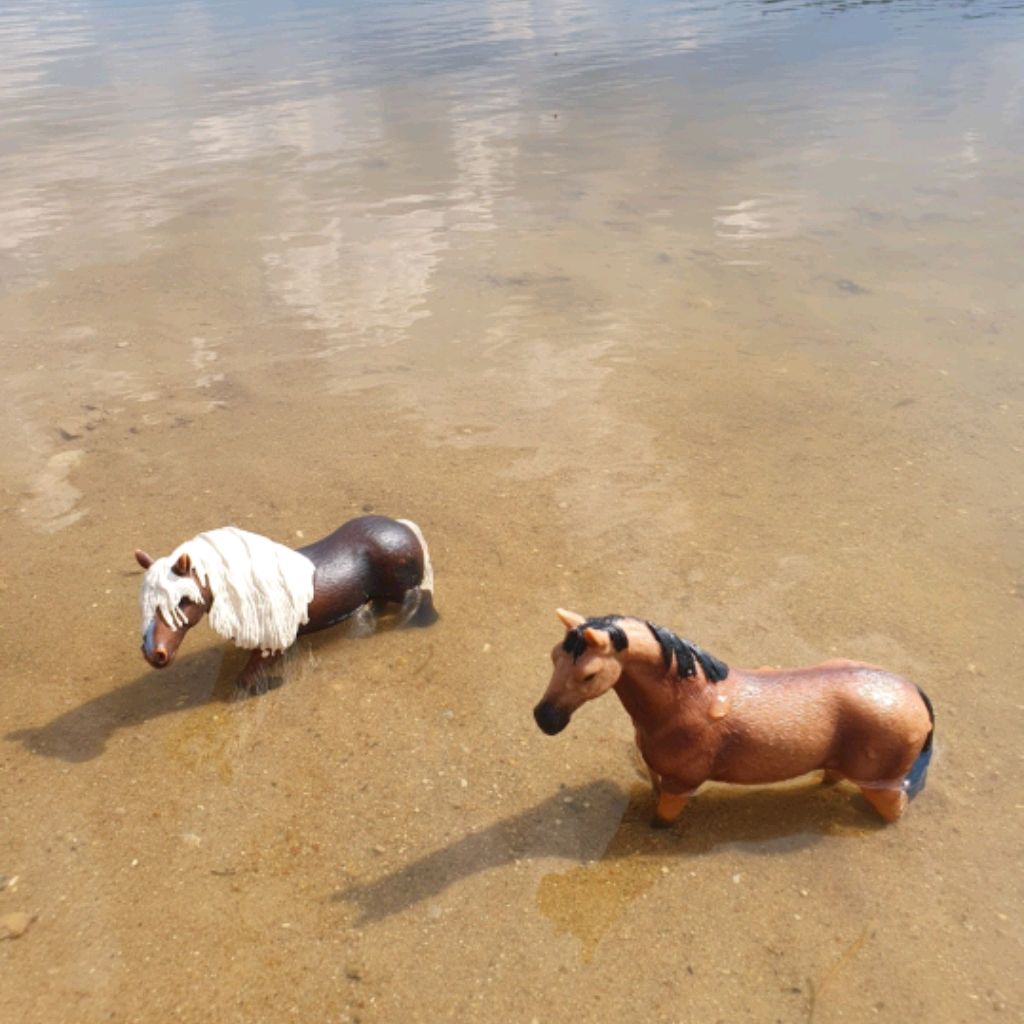 София Horses. Конный двор Ювента