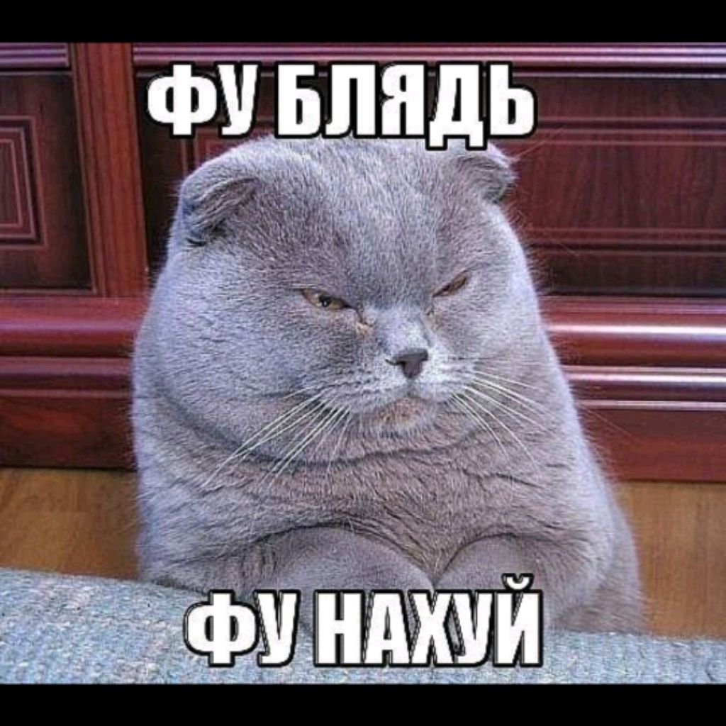 Человек который не знает что снимать
