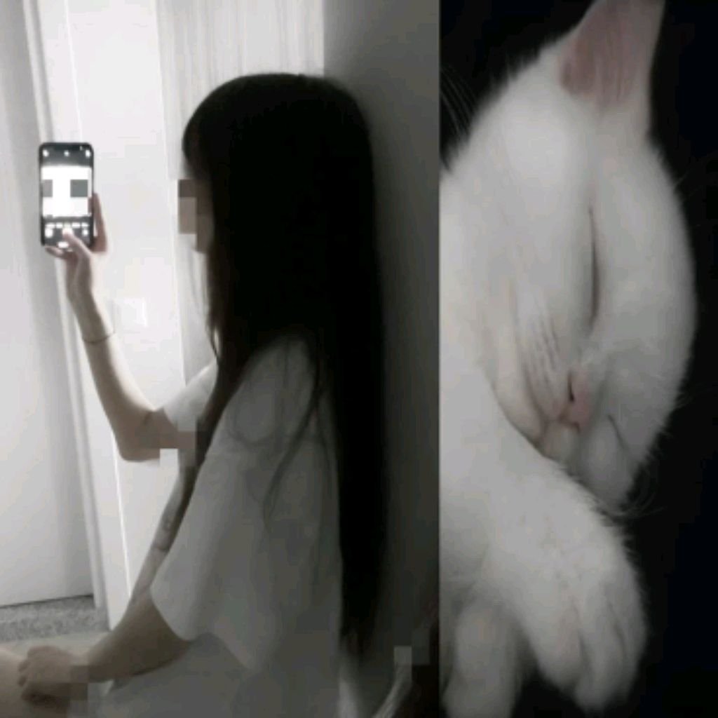 🎶Hikcorku💤