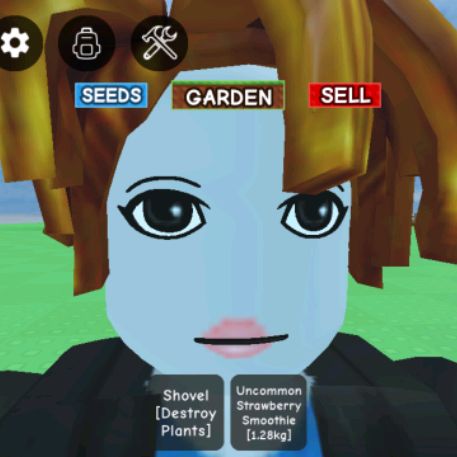 QeastMaster