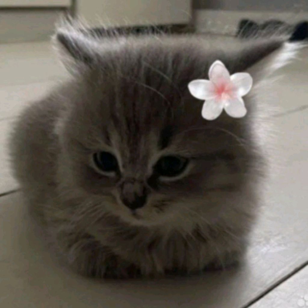 🧁κᥙᥴᥙκ🧁 she/her