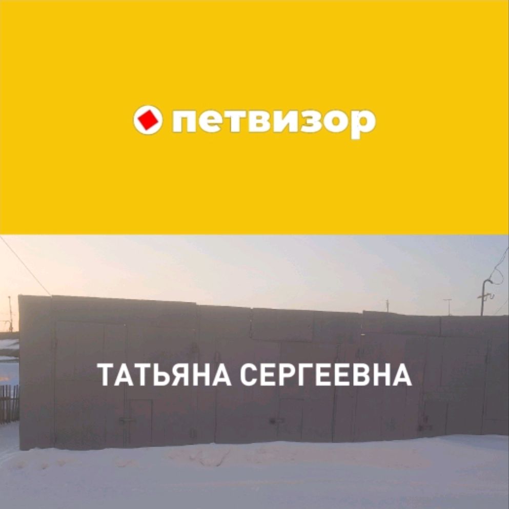 (Петвизор И Татьяна Сергеевна)