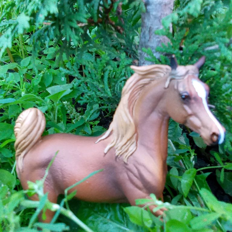 Horse a Life
