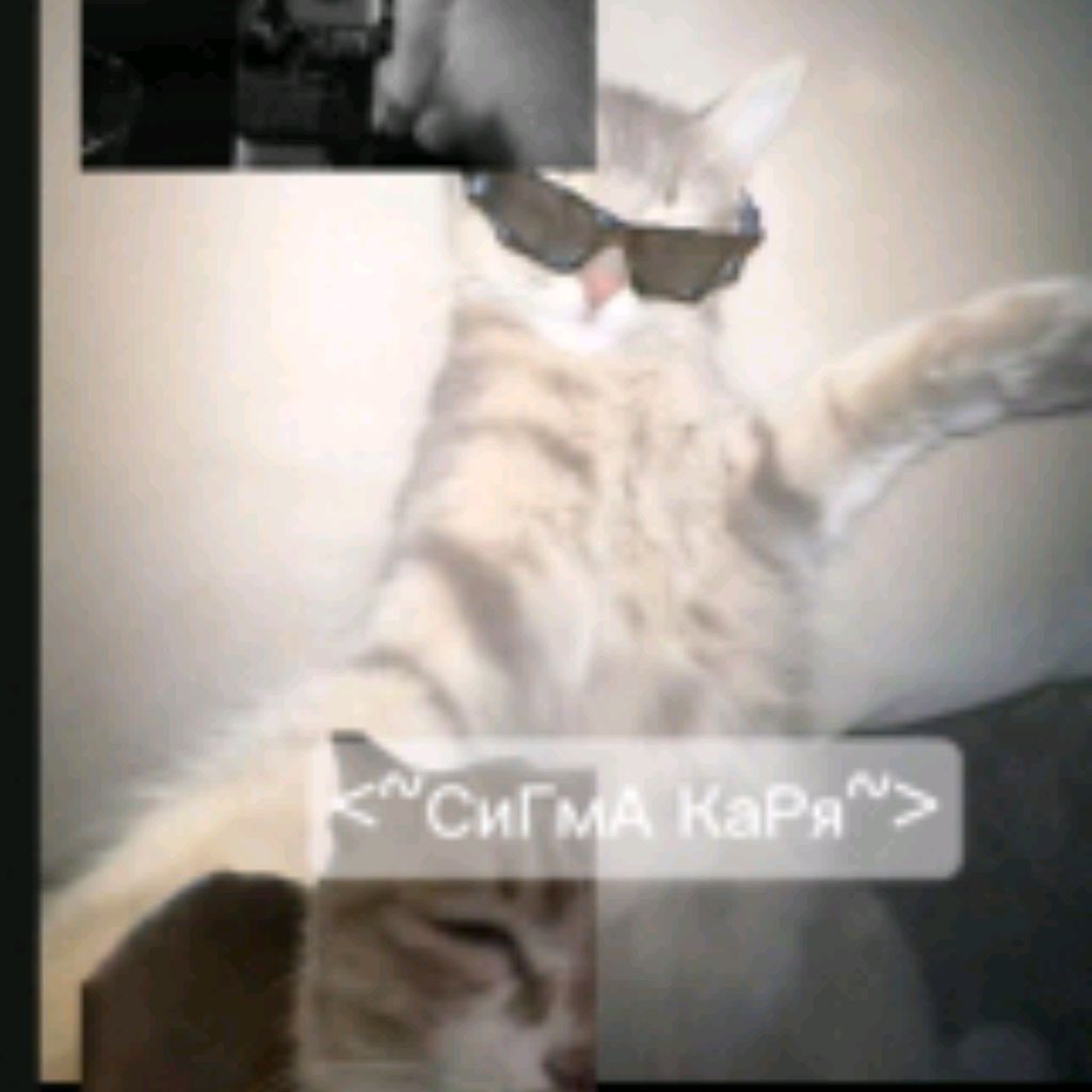 🫂Каря💋
