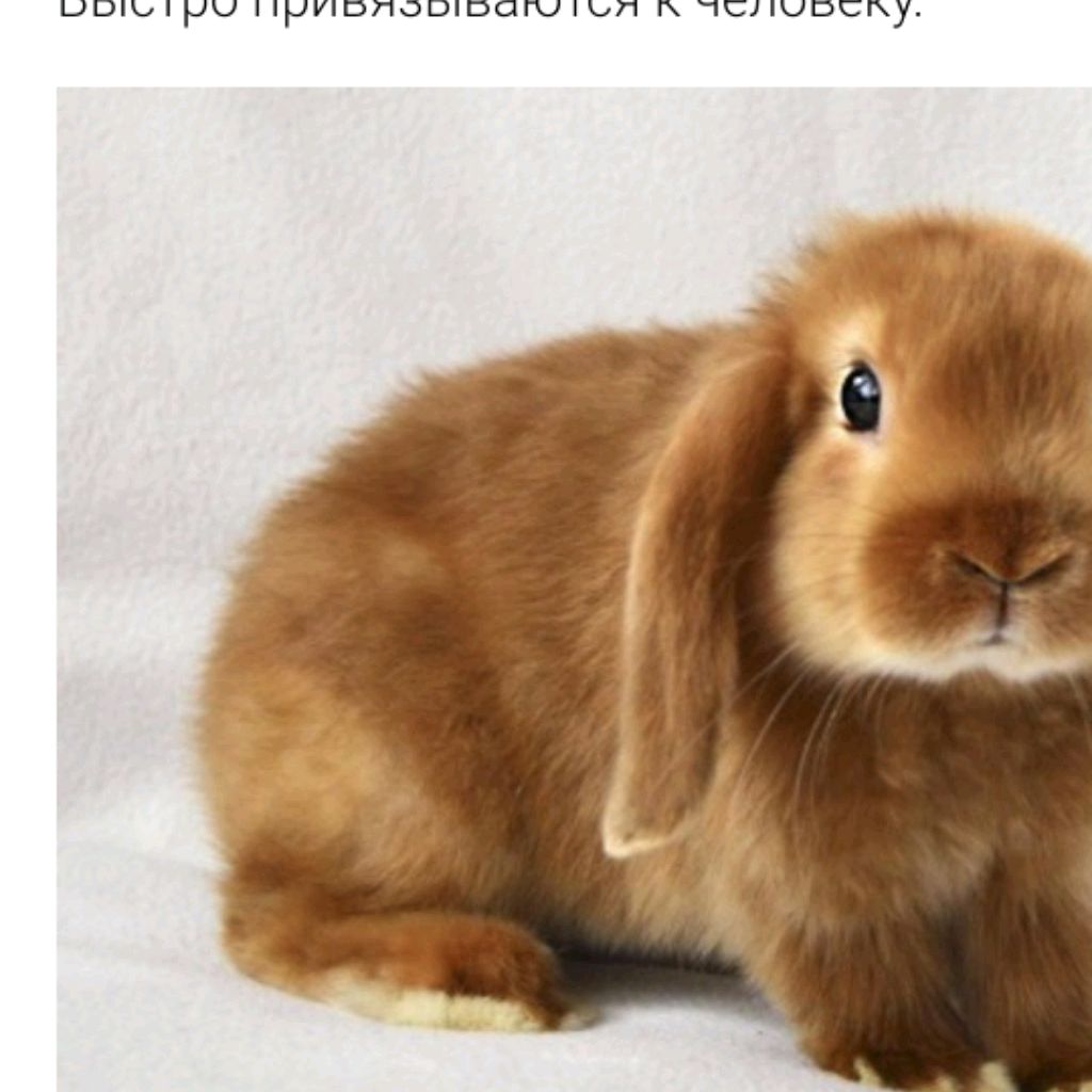 Сердечки 💞💗💖💕💓♥️