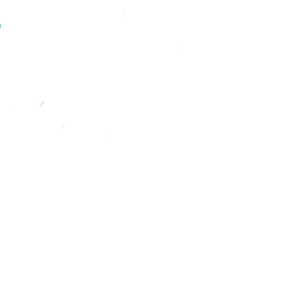 ()белый 🕸️