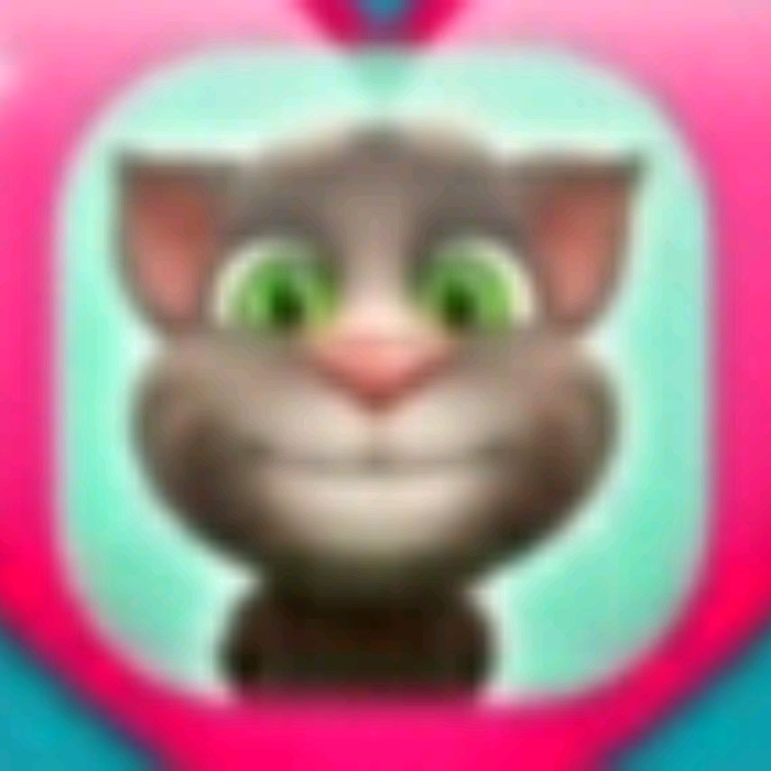 channel55841455564