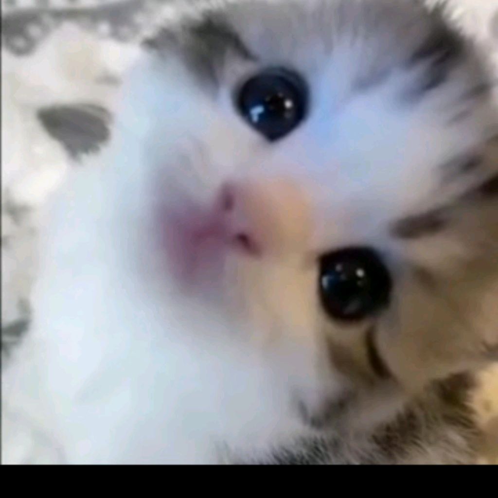 Стеффани