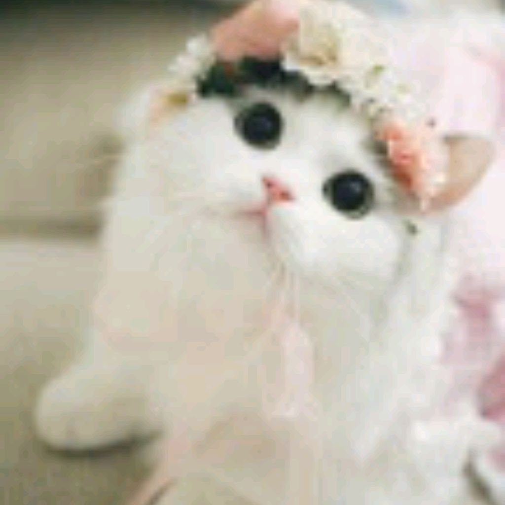 КАТЯ