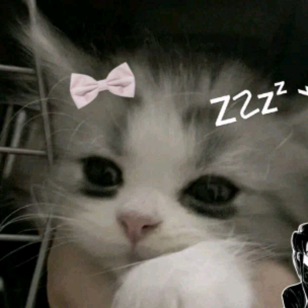 Va  :3