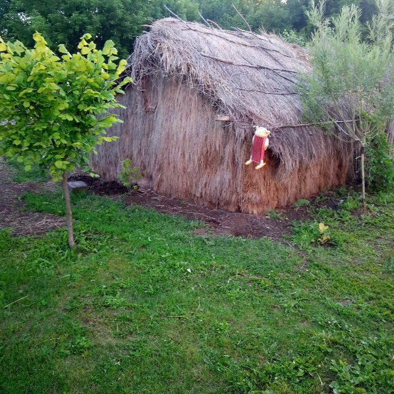Славентий в Шалаше