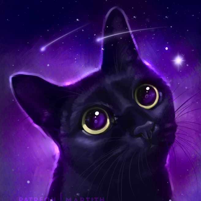 Космо Кот