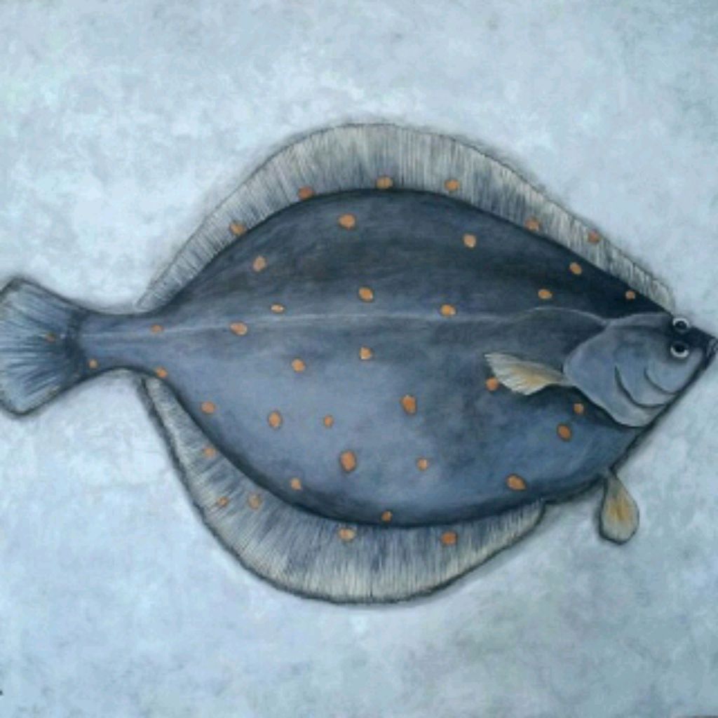 Cambala