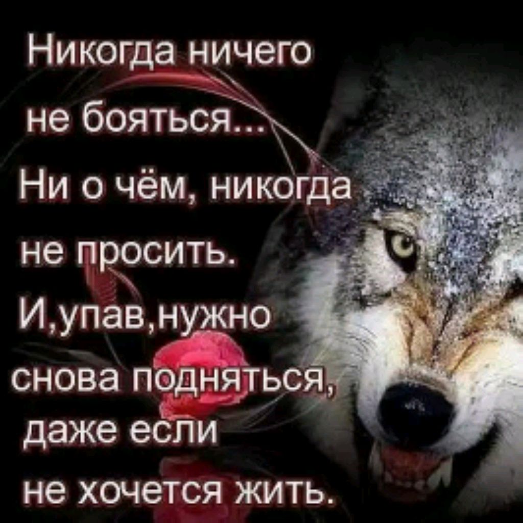 Надежда