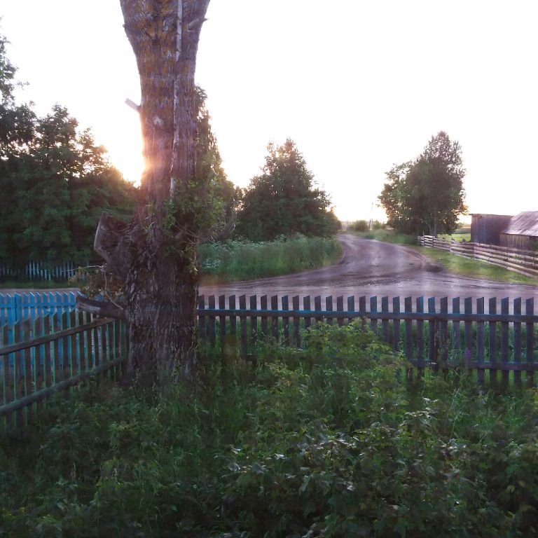 Александр  Шелыгин