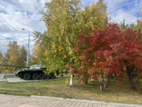 Tanchik