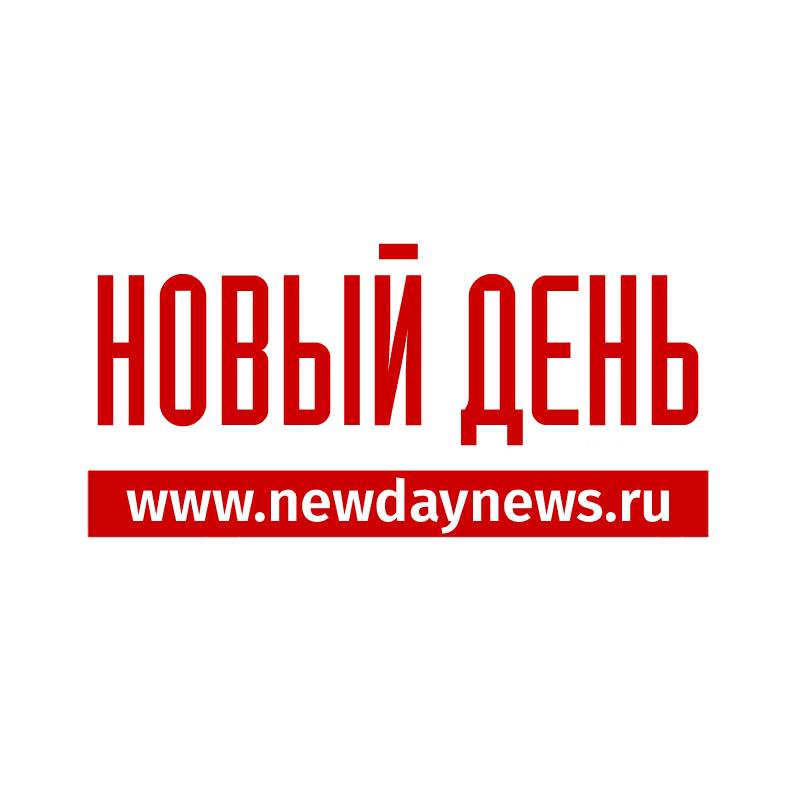 РИА "Новый День"