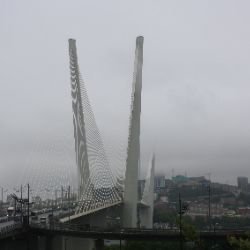 Серый 11