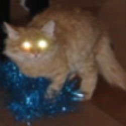 Древний Кот