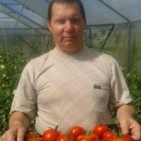 Огород - сад Медведевых