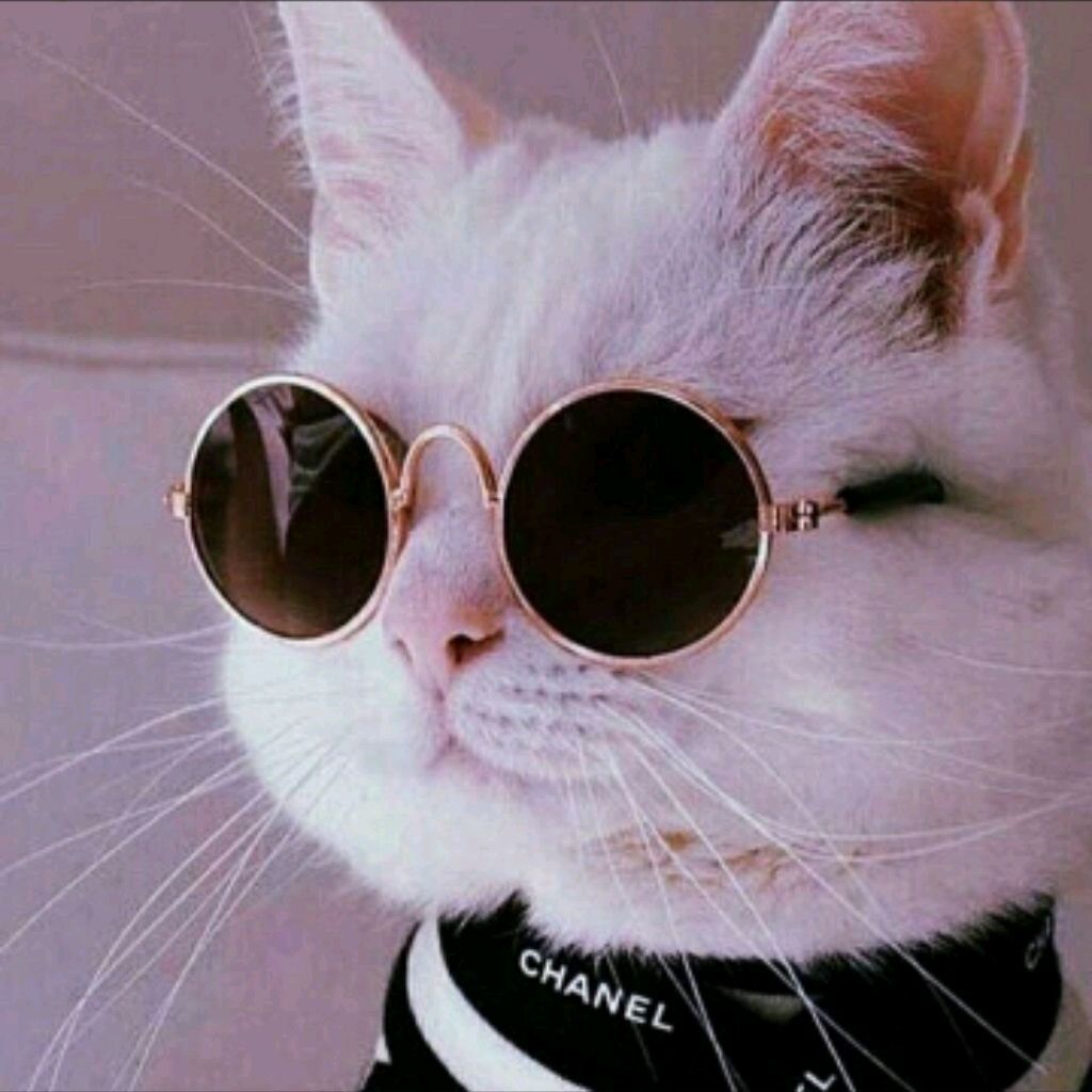 channel39959690