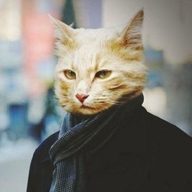 Роман SU