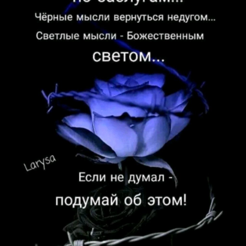 Avrora Fartuna