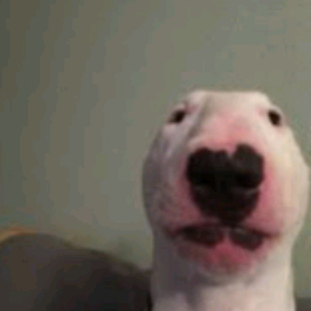 Şpý1ķøñ