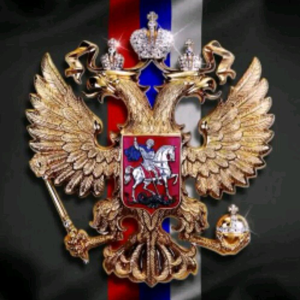 channel24338803