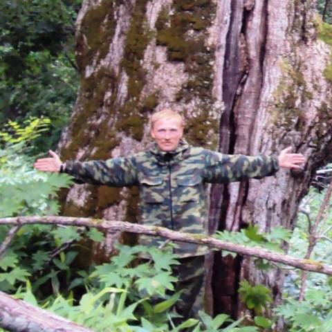 Forest Gamp