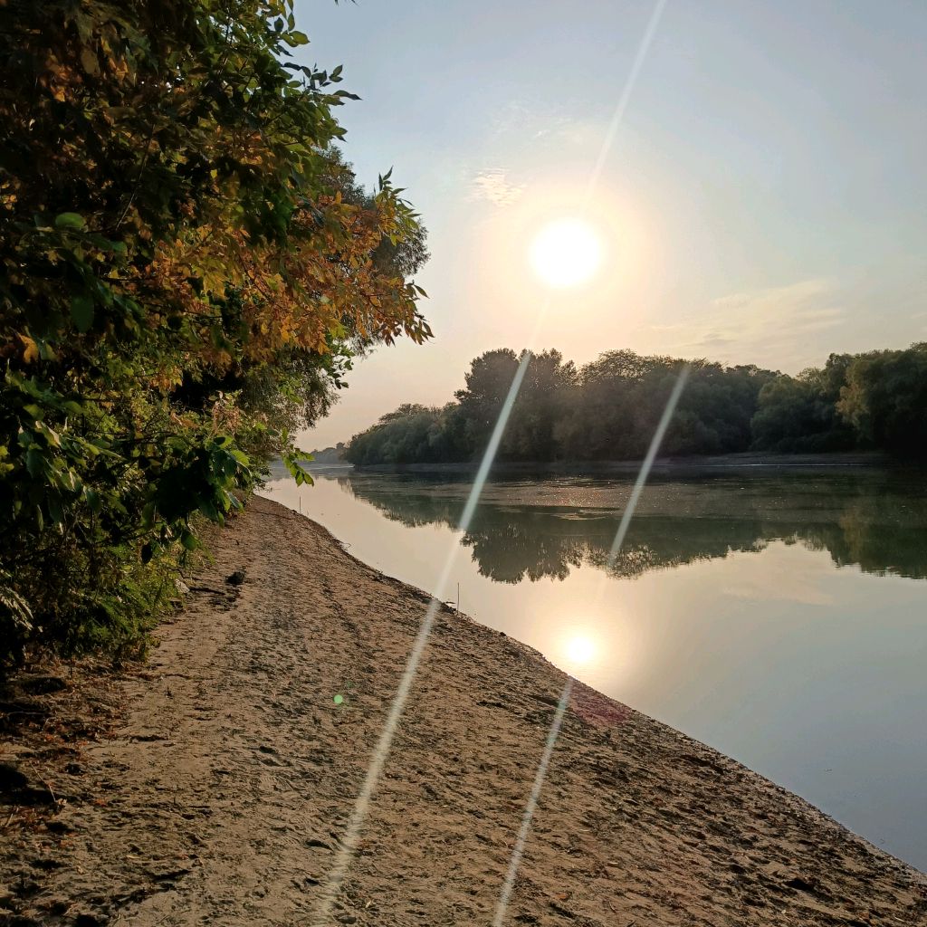 channel35295043