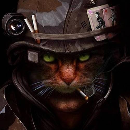 BadCat