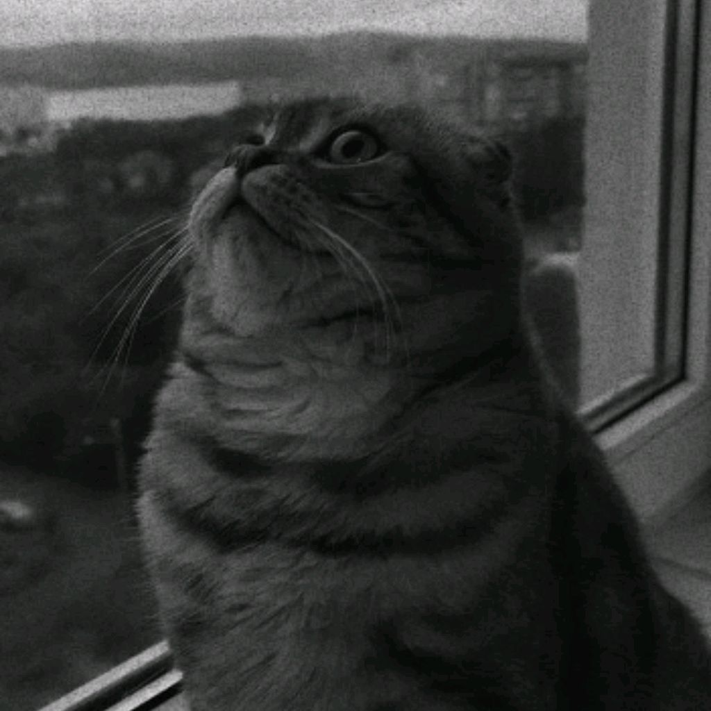 Снэт Снэтов
