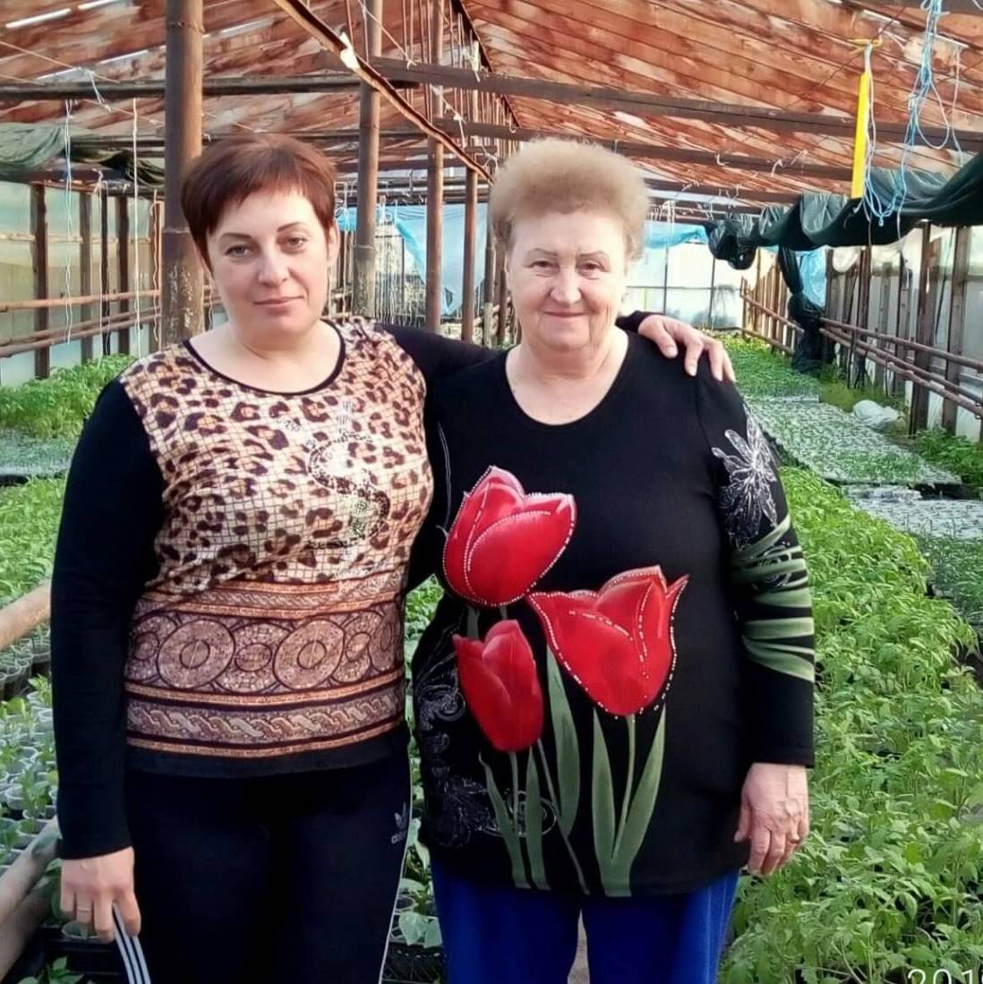 #ЛПХ Агеевых