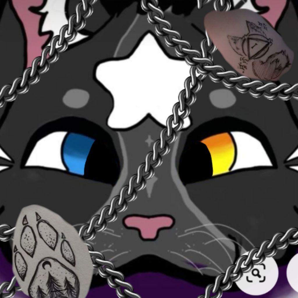 Tea_cat_UwU