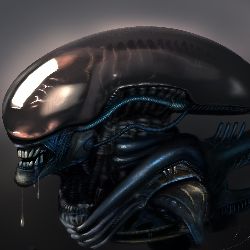 channel LV 426