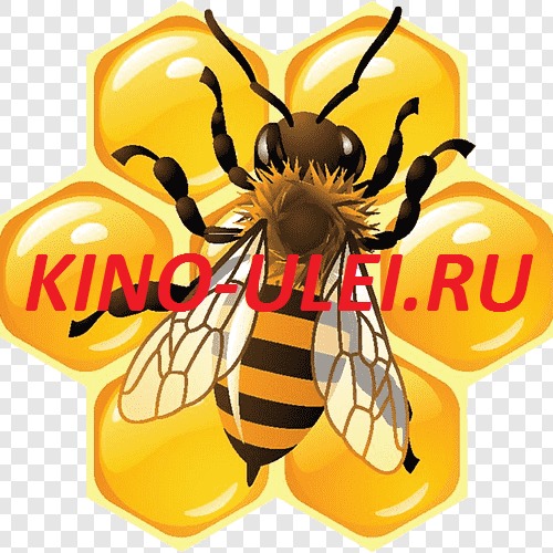 Киноулей