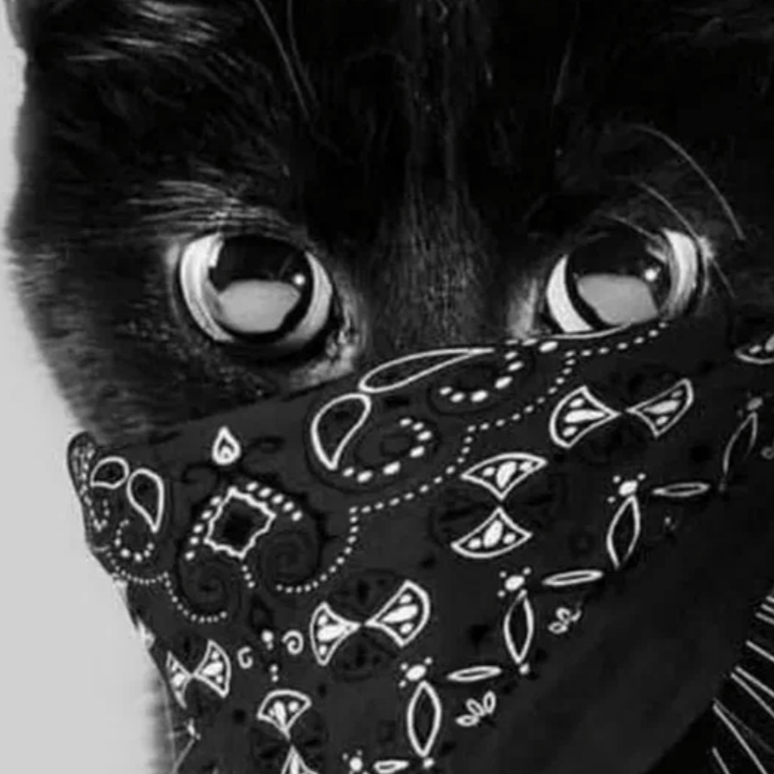 Сёмка и Василиска😻💥😻