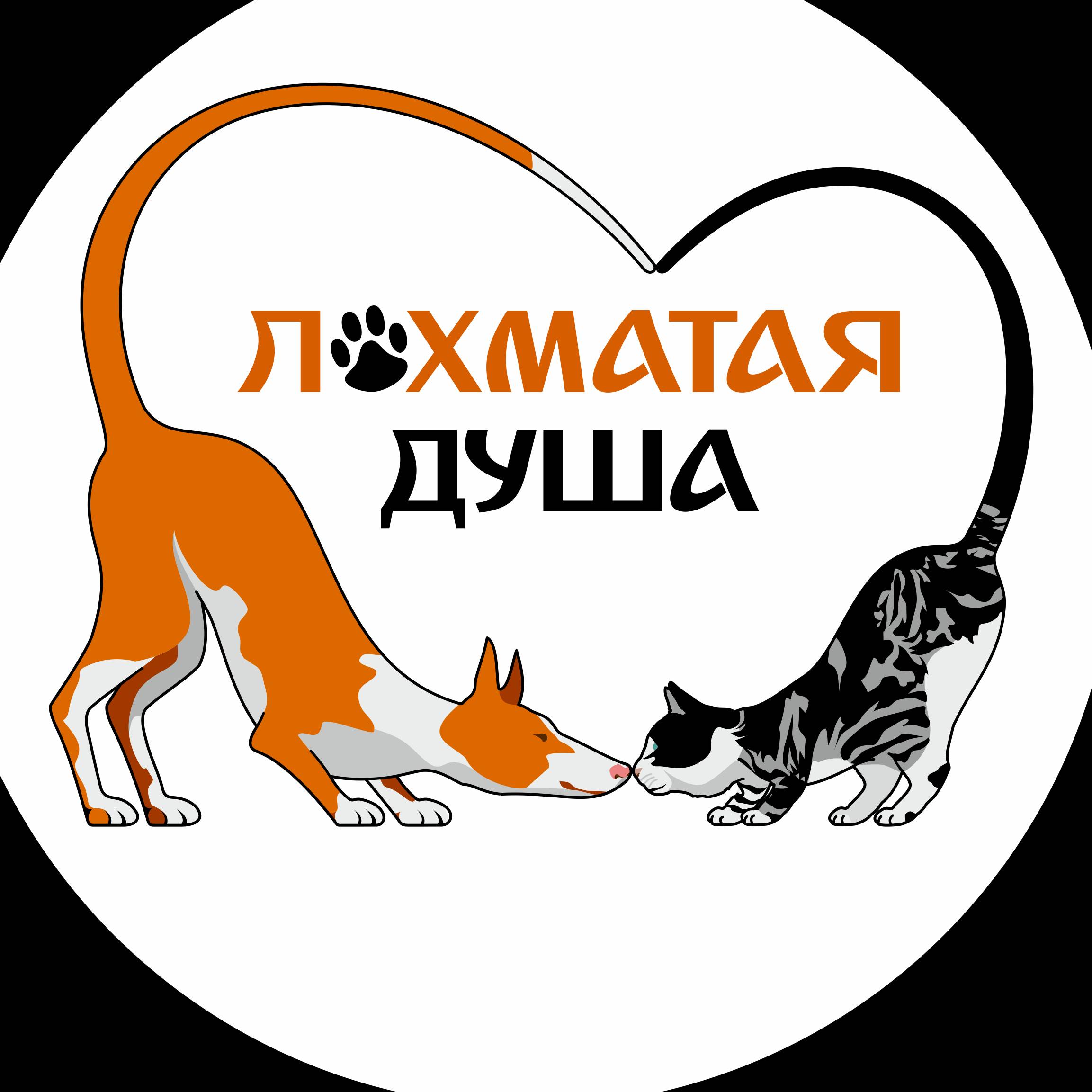 Лохматая Душа Валентины Силич