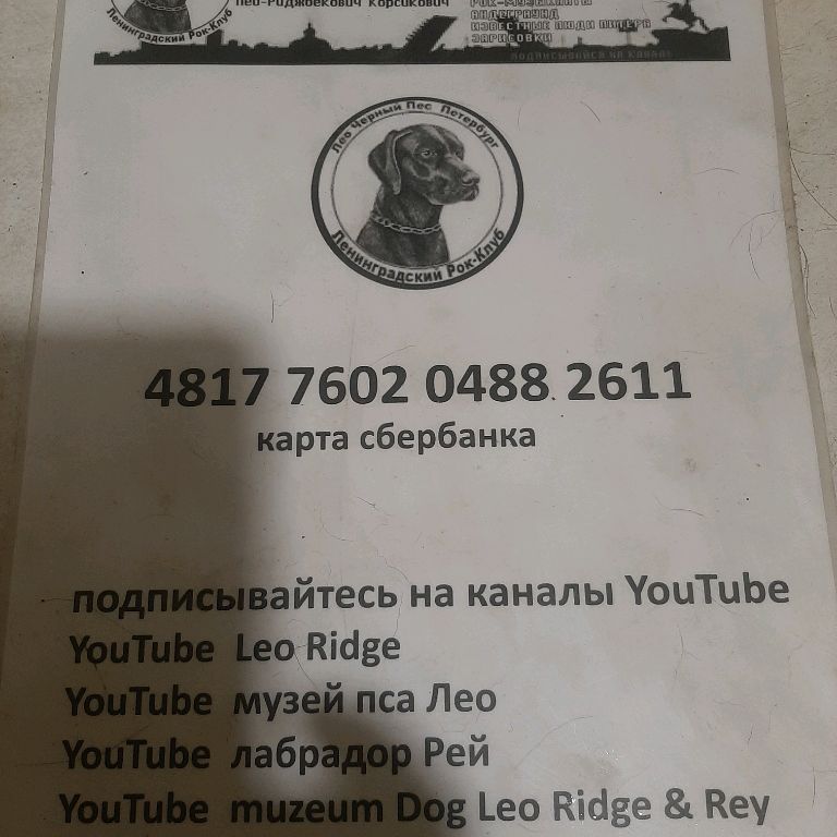 Музей Псов